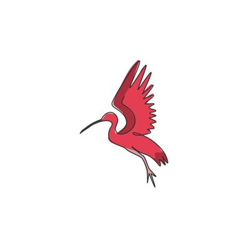 recommend clip art: One single line drawing of adorable ibis for foundation logo identity. Long down curved beak bird mascot concept for conservation park icon. Modern continuous line draw design vector illustration