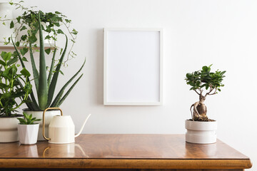 Wall with blank picture frame poster and desk objects, plants and bonsai tree on a white background..	
