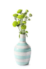 Vase with green chrysanthemum flowers isolated on white background