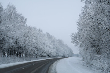 Obraz na płótnie Canvas Frosty trees by the road