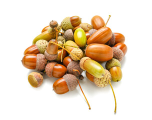 Pile of acorns on white background © Pixel-Shot