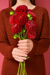 Woman holding bouquet of beautiful dahlias, closeup