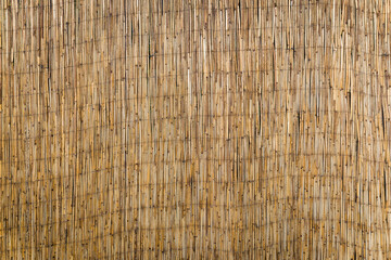 Natural brown dry cane texture