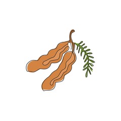 Single continuous line drawing of whole healthy organic tamarind for orchard logo identity. Fresh fruitage concept for fruit garden icon. Modern one line draw graphic design vector illustration