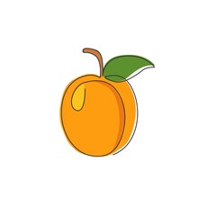 One continuous line drawing of whole healthy organic apricot for orchard logo identity. Fresh fruitage concept for fruit garden icon. Modern single line draw design graphic vector illustration