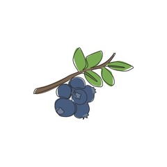 One continuous line drawing of whole healthy organic blueberries for orchard logo identity. Fresh blue berry fruitage concept for fruit garden icon. Modern single line draw design vector illustration