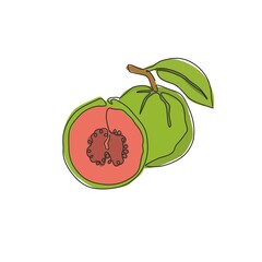 Single continuous line drawing whole and half sliced healthy organic java guava for orchard logo identity. Fresh fruit concept for garden icon. Modern one line draw graphic design vector illustration