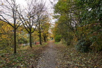 beautiful path by the river with trees in autumn