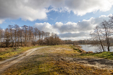 Autumn landscape with a dirt road on a bright sunny day. November landscape with clouds and trees without leaves.