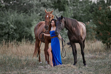 Beautiful long-haired girl in a blue dress next to two horses