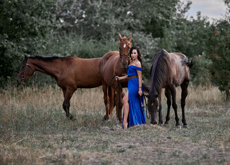 Beautiful long-haired girl in a blue dress next to three horses