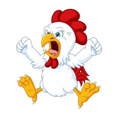 Cartoon angry chicken on white background