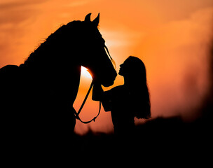 Silhouette of a girl with a horse at sunset in the field