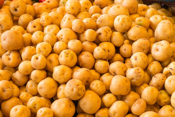 Papa pequeña criolla colombiana