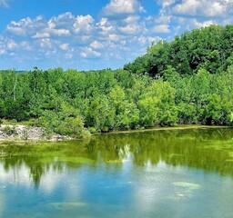 Reflection of Lake in Forest