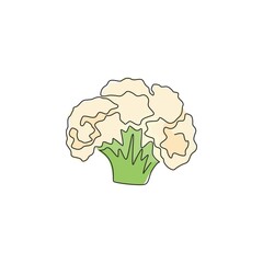One single line drawing of whole healthy organic cauliflower for farm logo identity. Fresh brassica oleracea concept for vegetable icon. Modern continuous line draw design vector graphic illustration