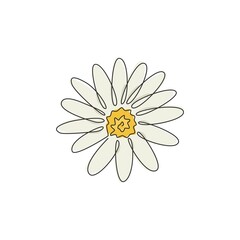 One continuous line drawing of beauty fresh bellis perennis. Printable decorative poster common daisy flower concept for wall home decor. Modern single line draw design vector graphic illustration