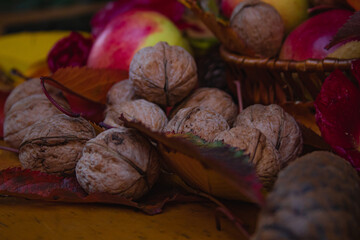 Close up macro shot of walnuts apples and leaves in a wooden basket decorated with magenta tie. Autumn natural scene with bunch of apples, yellow leaves and group of walnuts. 