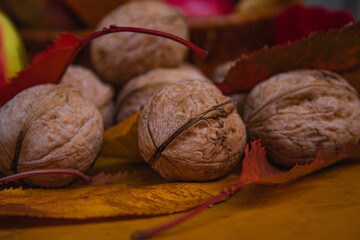 Close up macro shot of walnuts. Autumn natural scene with bunch of apples and yellow leaves 