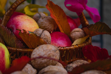 Close up macro shot of walnuts apples and leaves in a wooden basket decorated with magenta tie. Autumn natural scene with bunch of apples, yellow leaves and group of walnuts. 