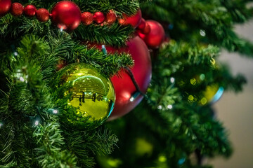 Fototapeta na wymiar Red and green ball ornament hanging on a Christmas tree on left with copy space on the right