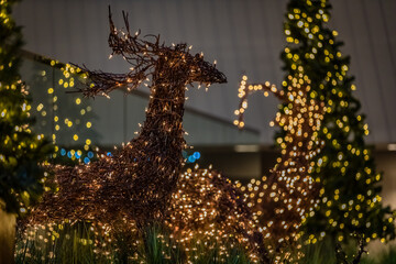 Obraz premium Reindeer made of twigs and Christmas lights looks to the right