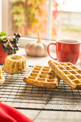 Durum wheat diet baked goods with oatmeal, herbs and pumpkin on a black metal grill. Vegetarianism concept.