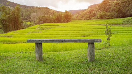 Benches for viewing the fields and mountains