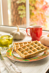 Waffles made from durum wheat with the addition of oatmeal, herbs and pumpkin. Diet food. vegetarianism concept.