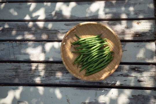 Harvested Vegetables