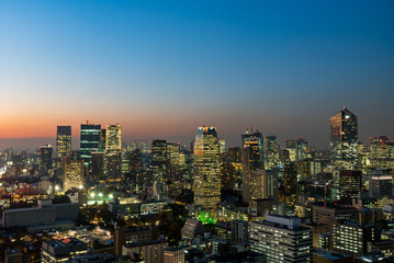 Panoramic view of Tokyo cityscape at night.