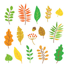 Fototapeta premium autumn-01