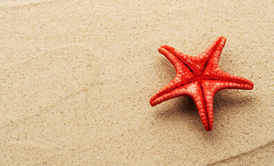 Fototapeta na wymiar red starfish on sand close up