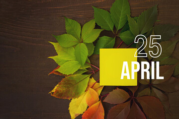 April 25th. Day 25 of month, Calendar date. Autumn leaves transition from green to red with calendar day on yellow square, wooden background. Spring month, day of the year concept.