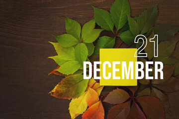 December 21st . Day 21 of month, Calendar date. Autumn leaves transition from green to red with calendar day on yellow square, wooden background. Winter month, day of the year concept.
