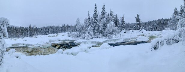 Polar night panorama of river near snow-covered island with high fir trees 