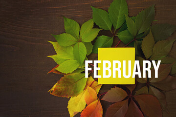 February. Month, Calendar month. Autumn leaves transition from green to red with calendar day on yellow square, wooden background. Winter , month of the year concept.