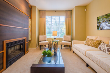 Interior design of a luxury living room