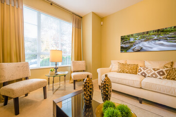 Interior design of a luxury living room