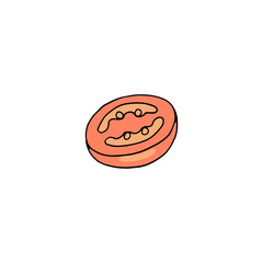 Half of red ripe tomato, hand drawn colored vector illustration isolated.