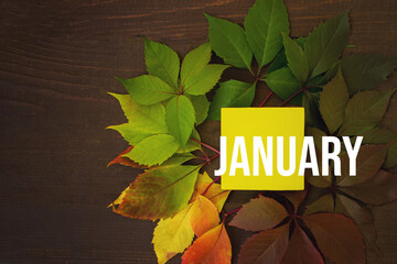 January. Month, Calendar month. Autumn leaves transition from green to red with calendar day on yellow square, wooden background. Winter , month of the year concept.