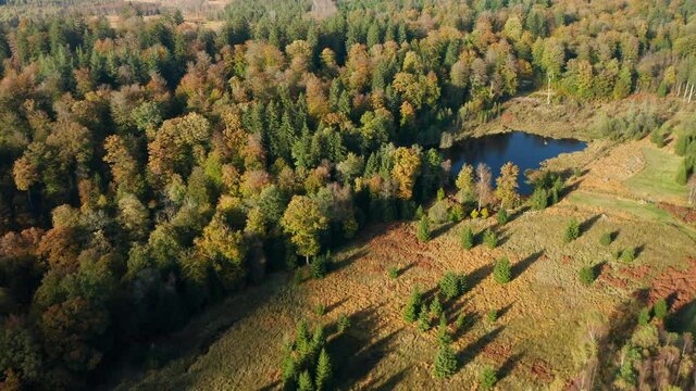 Vibrant Colors Of Autumn In The Forest Of Fagne du Rouge Ponc&eacute; in Saint Hubert, Belgium - aerial shot