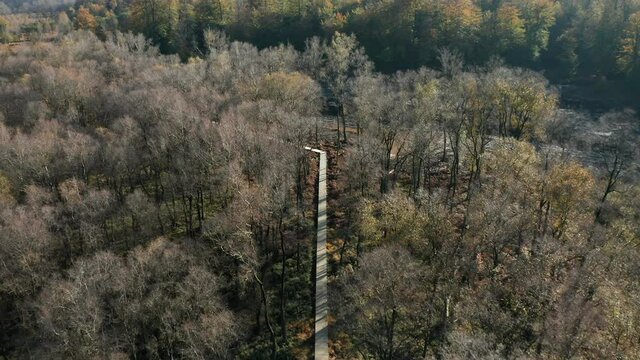 Aerial View Of Long Wooden Footpath At Nature Preserve Of Fagne du Rouge Ponce In Saint Hubert, Belgium. Drone
