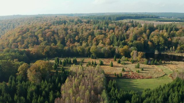 Vast Forest Landscape Of Fagne du Rouge Ponc&eacute; in Saint Hubert, Belgium - Aerial shot