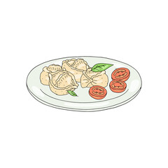 Manty, dumplings on plate with sliced tomato, greens in sketch vector