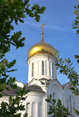 The dome of the Church of the Holy New Martyrs of Russia in Novosibirsk among the greenery