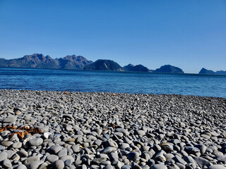 view of the beach in the morning