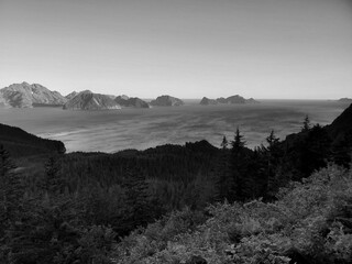 misty morning on the coast