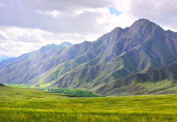 Fototapeta na wymiar A mountain valley in the Altai