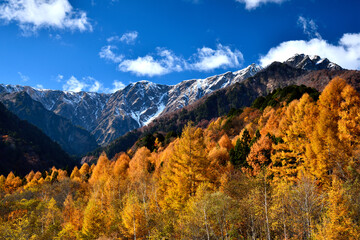 青空とアルプスと紅葉